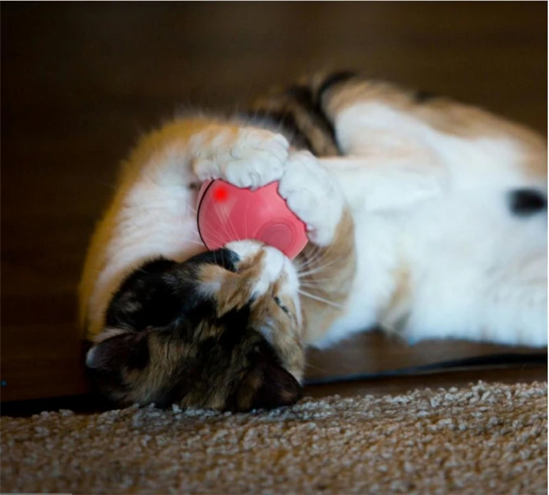 企业微信截图_20190814141722