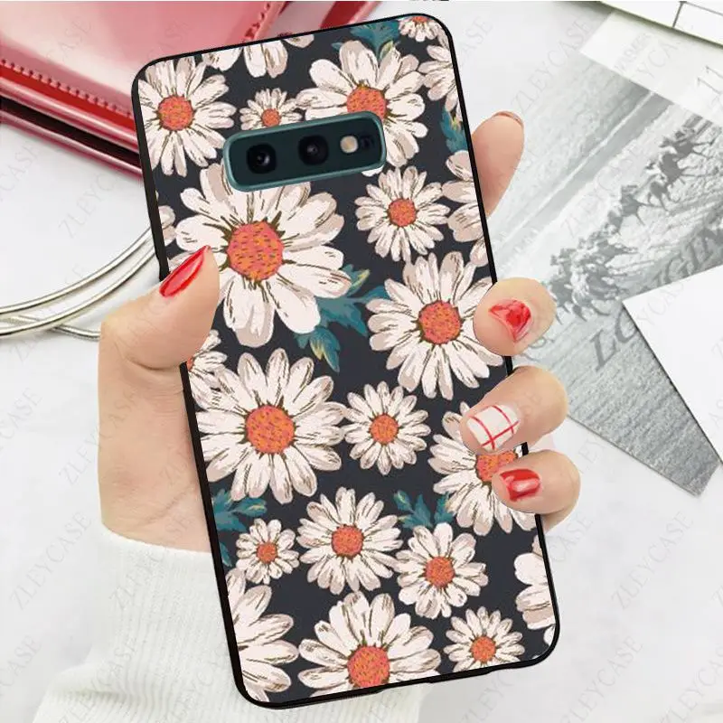daisy flower