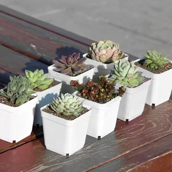 

10pcs Plastic Square Flower Pot Cute Mini Decorative Flower Pots Planters Creative Succulents Nursery Floral Holder Organizer Ga