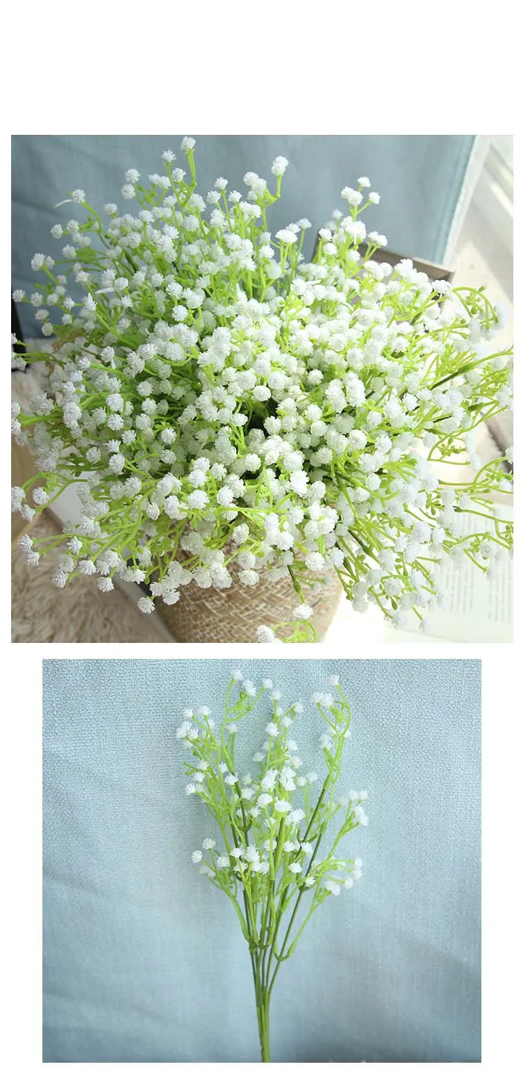 8710434336_1245478559