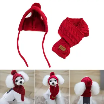 

Korean Style Dog Hat Scarf Set Pet Wool Decoration Warm Clothing Winter Supplies