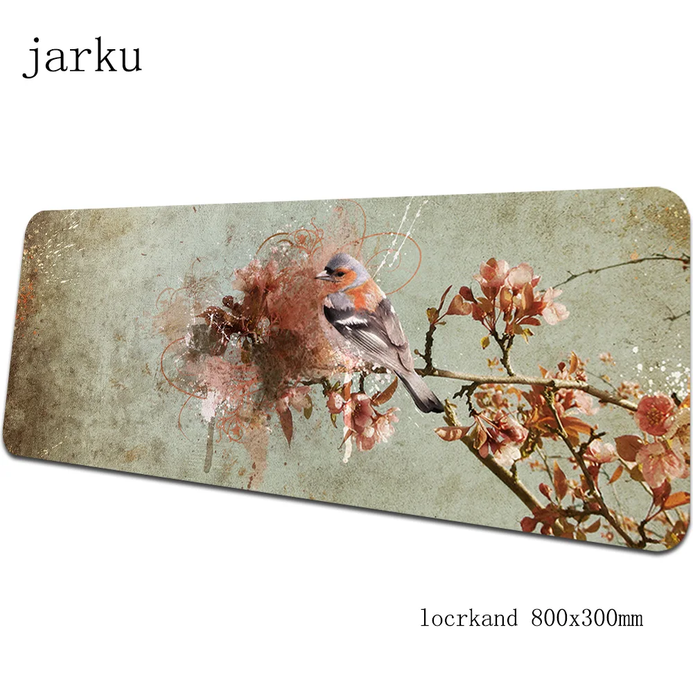 Size 800x300X3MM Птицы геймерский коврик для мыши 800x300X3 мм игровой коврик для мыши большой аниме ноутбук аксессуары для ПК Новое поступление ноутбук padmouse эргономичный коврик - Цвет: Size 800x300X3MM