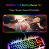 Computer Peripherals