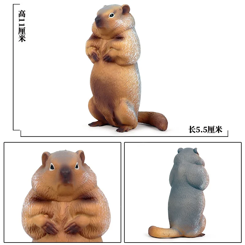 Детская сплошная модель диких животных грызунов модель Marmot mouse Chipmunks игрушка украшение гаражный комплект