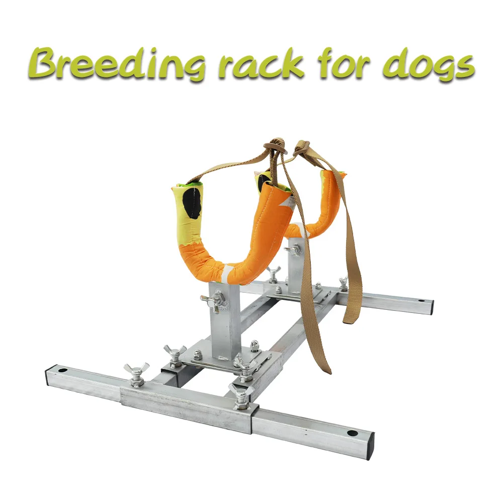 BreedingStandDogBreedingStandforLargeSmallMediumPetsDogs.jpg