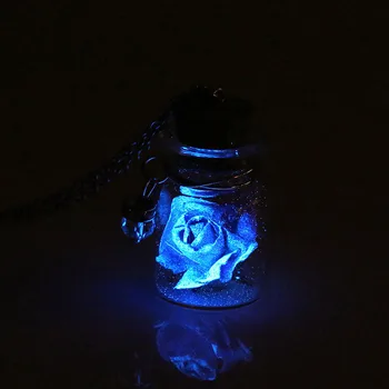 

2020 New Arrivals Glow in The Dark Jewelry Glowing Flower Delicate Necklace Mini Glass Wishing Bottle Pendant Necklaces Beads