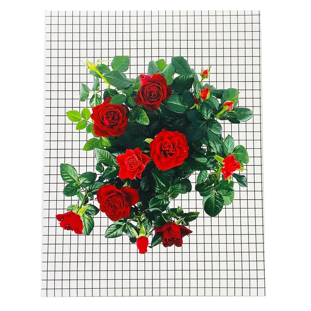 20201230327_433701971