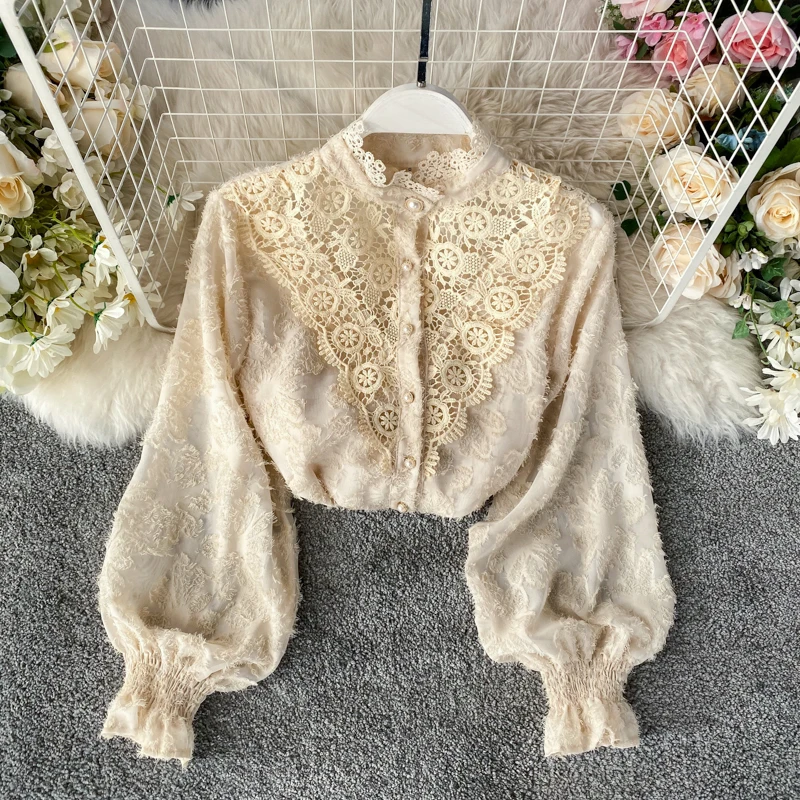 

Spring 2010 Korean Fashion Lace Tops Women Long Lantern Sleeve Princess Loose Thin Elegant Shirts Blouse L002