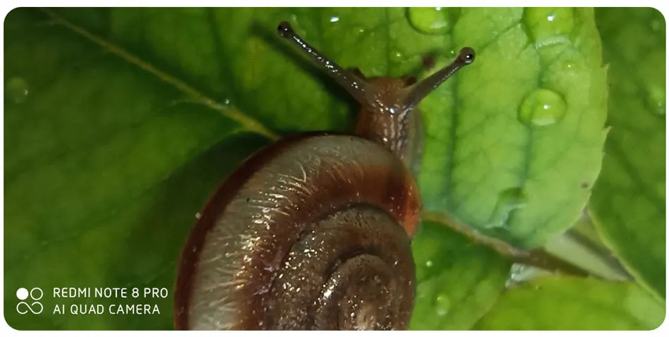 note8详情-1200-01_07