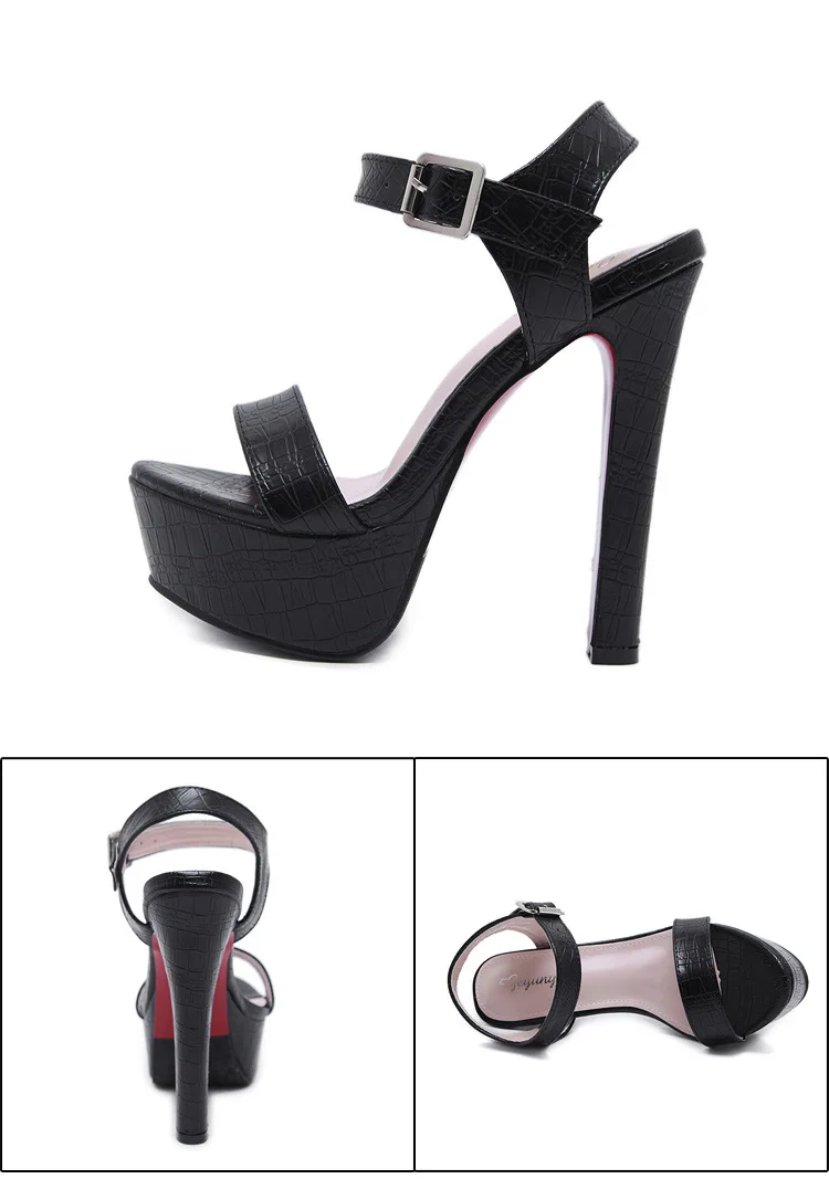 11772769080_1351158818