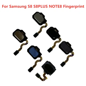 

Fingerprint Sensor Keypad Flex Cable Repair Original For Samsung Galaxy S8 G950 S8+G955 Note8 N950 S8PLUSHome Button Touch ID
