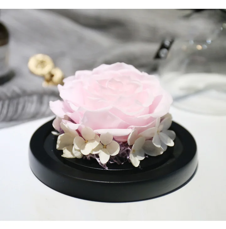 Love Everlasting flower vase Glass cover 13
