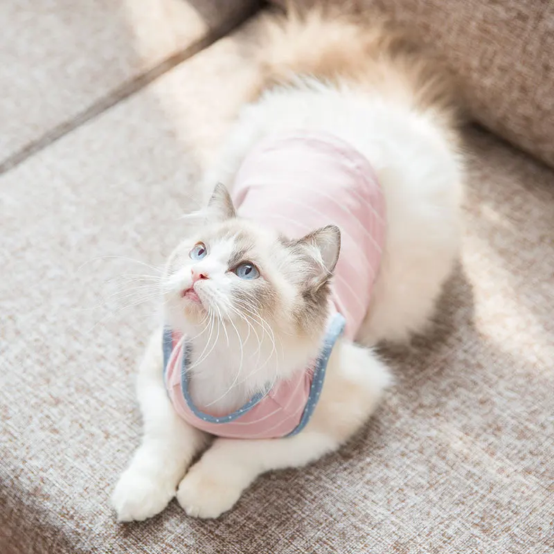 Japanese Style Cat Summer Thin Clothes Garfield English Short Blue Cat Kitten Cotton Striped Vest Pet Supplies