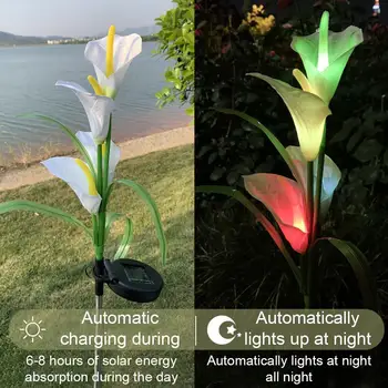 

Solar Lily Flower Light Stake Solar Garden Lily Light Light Backyard Flowers Flowers Decorative 1 Solar with K0E5