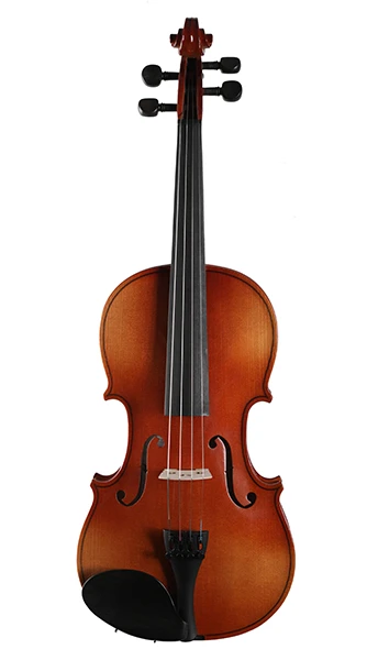 Verona violin 2024