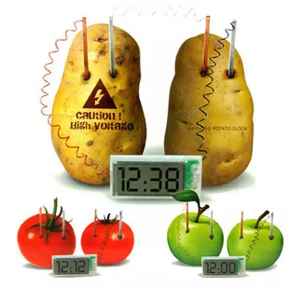 Potato clock. Часы на картошке. Часы из картошки. Энергия картошки. Картофельные часы.