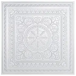 12PCS PVC 3D Ceiling Tiles Wall Panels Decorative Water Proof Moisture-proof Plastic Sheet in White (60x60cm)