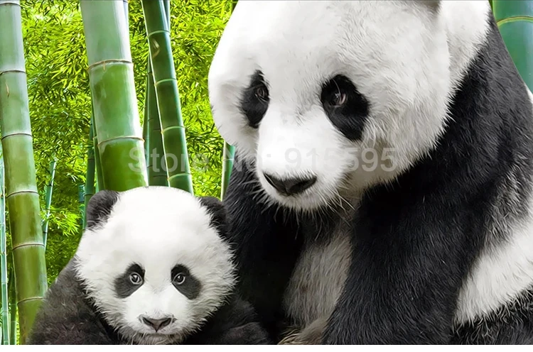 Mural 3D de pared Osos Panda en bosque de bambú - Decomural3D