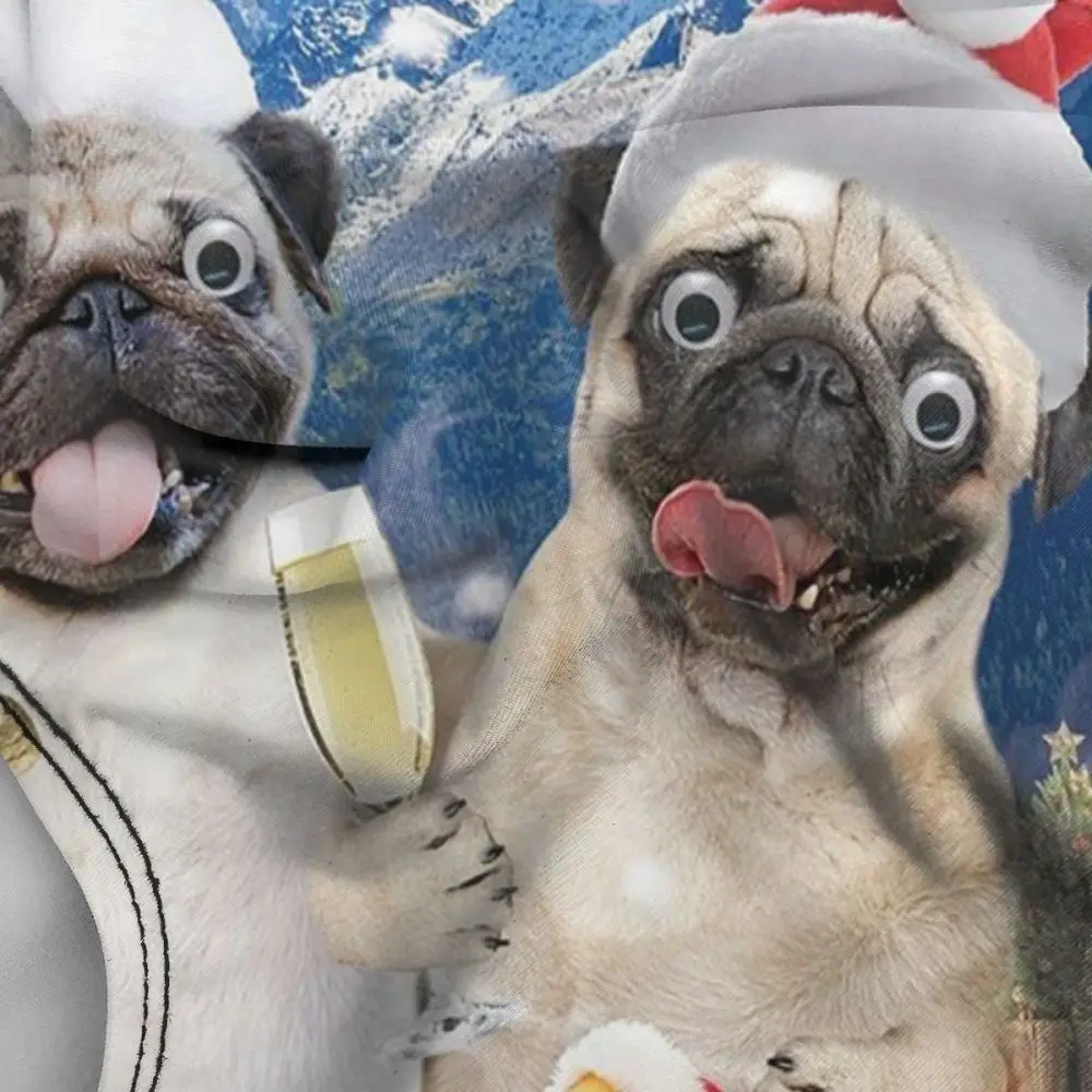 pug in a bathing suit