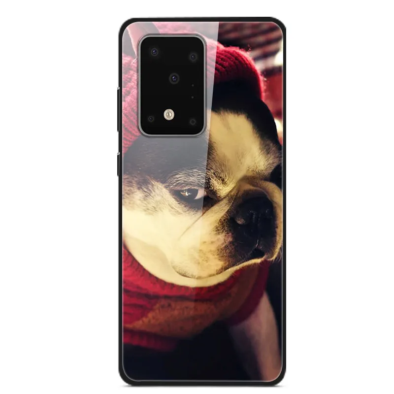 14 Для samsung Galaxy S11 Plus S11E чехол из закаленного стекла жесткий чехол для телефона для samsung Galaxy S11 S11Plus TPU бампер чехол s - Цвет: 14