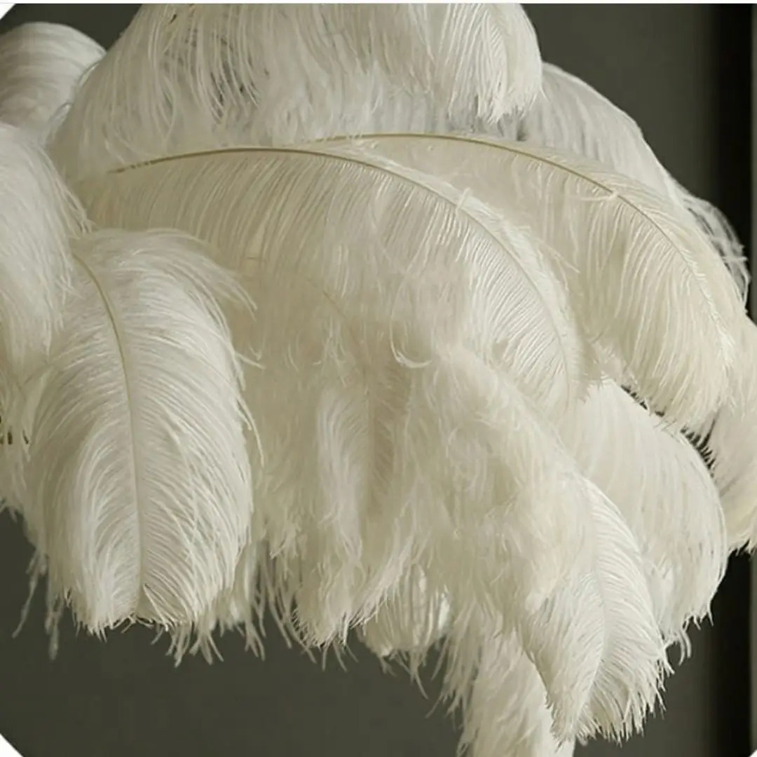 10Pcs Fluffy Ostrich Feathers Crafts White Feather for Wedding Party Home  Vase Decoration DIY Jewelry Decoration plumes 15-35CM - AliExpress