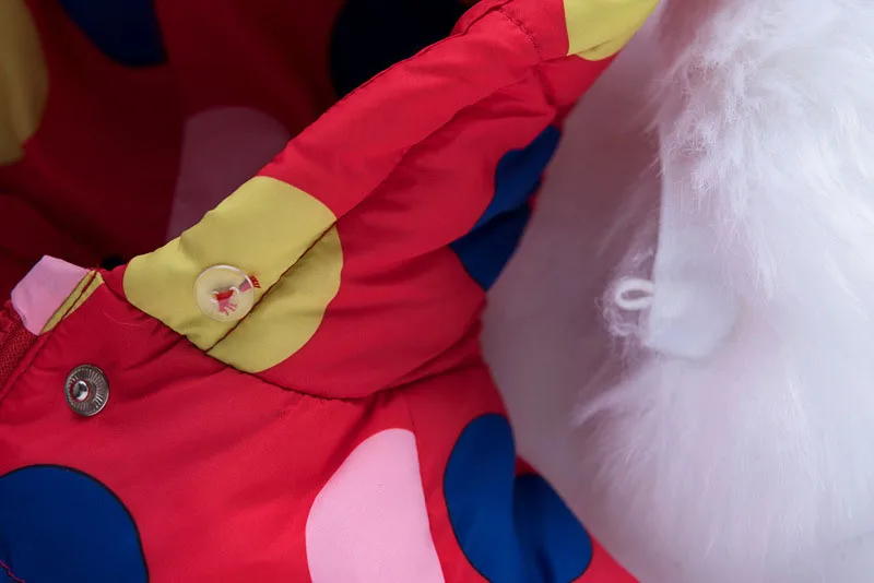 11480166078_1903448628