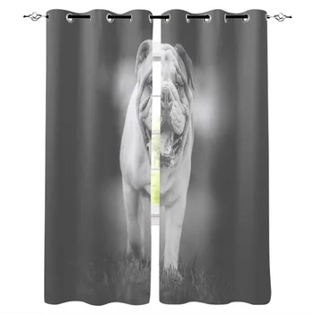 

Bull Terrier Window Curtains LivingRoom Kitchen Curtains for Bedroom Left and Right Biparting Open Curtains