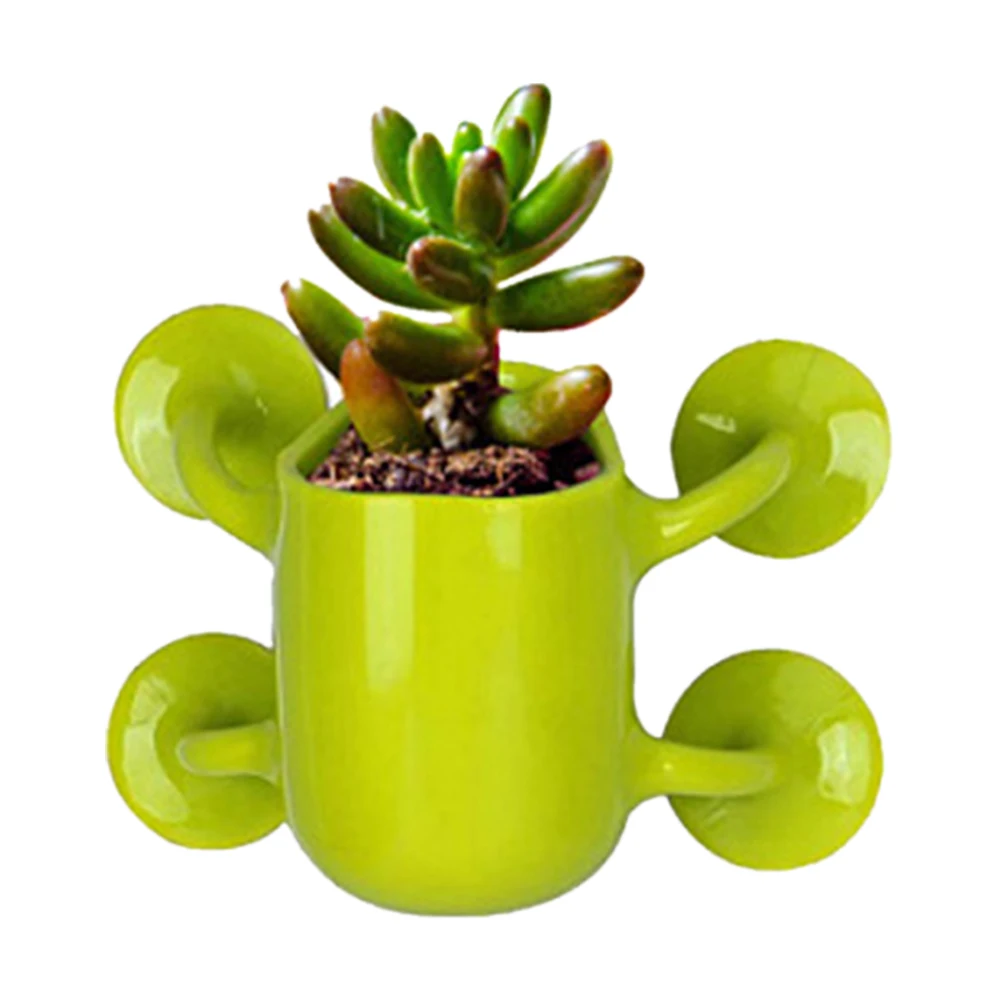 Creative Mini Flower Pots Bonsai Pants with Suction Cup Wall Flowerpot Flowers Cactus Culture Container Home Office Decor Plante