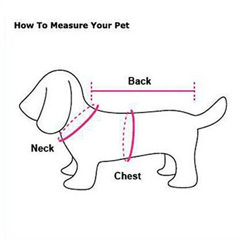 poodle bichon pomeranian schnauzer pug roupas welsh