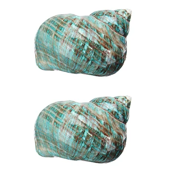 

Green Big Conch Home Furnishing Marine Sea Decor Fish Dry Aquarium Decor Natural Shell Craft Snail Ornament Wedding Festival