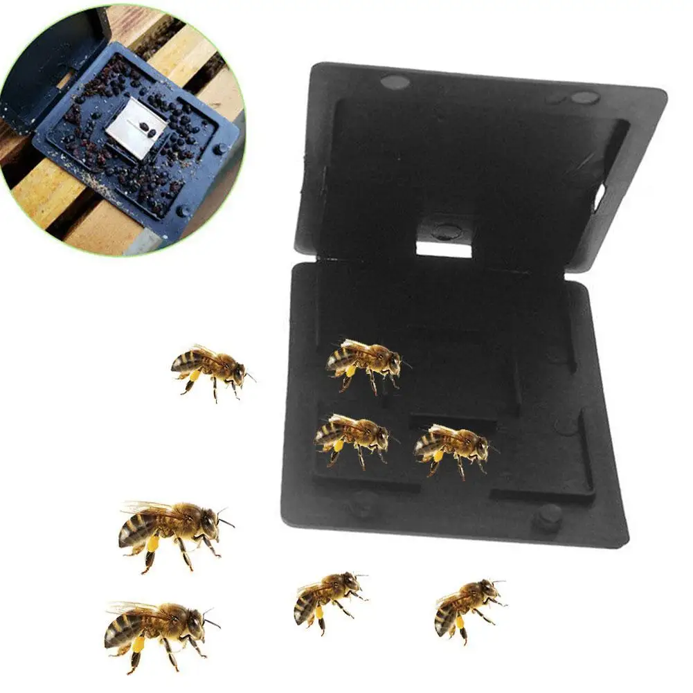 Пластиковый черный маленький Пчеловодство пчелиный улей Жук ловушка чехол Крышка пчеловодство оборудование инструменты