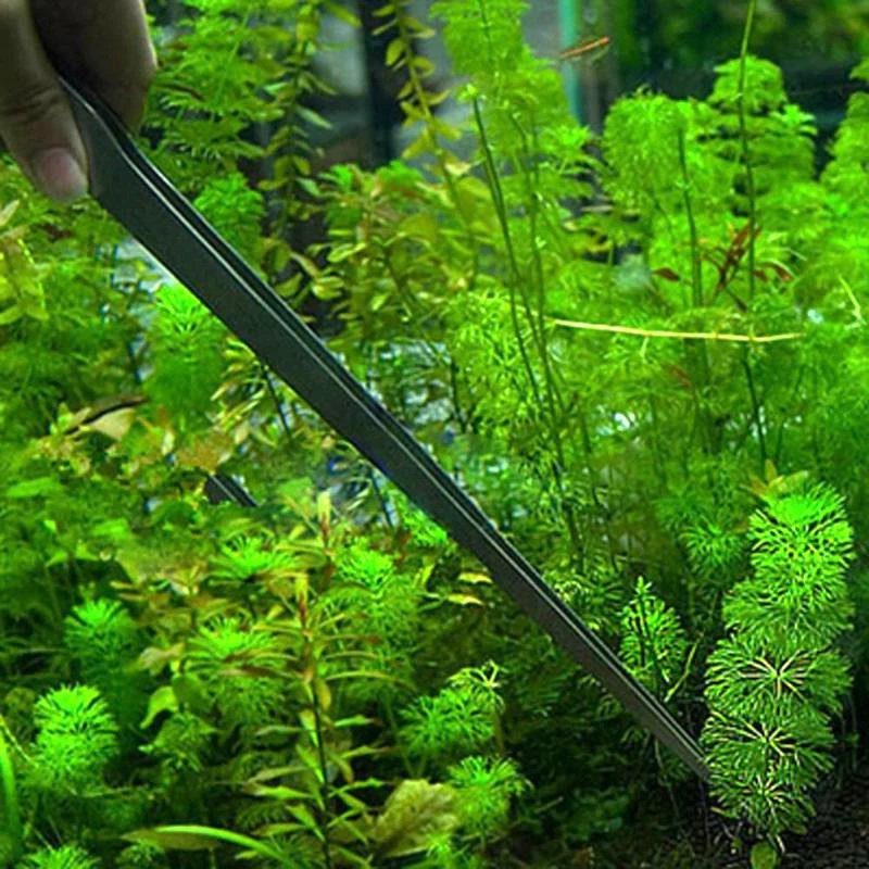 Elbow Stainless Steel Curved Tank Tweezers Pliers Aquarium Tool Fish Aquatic Plants Shrimp Reef Forceps Clip Tools | Дом и сад