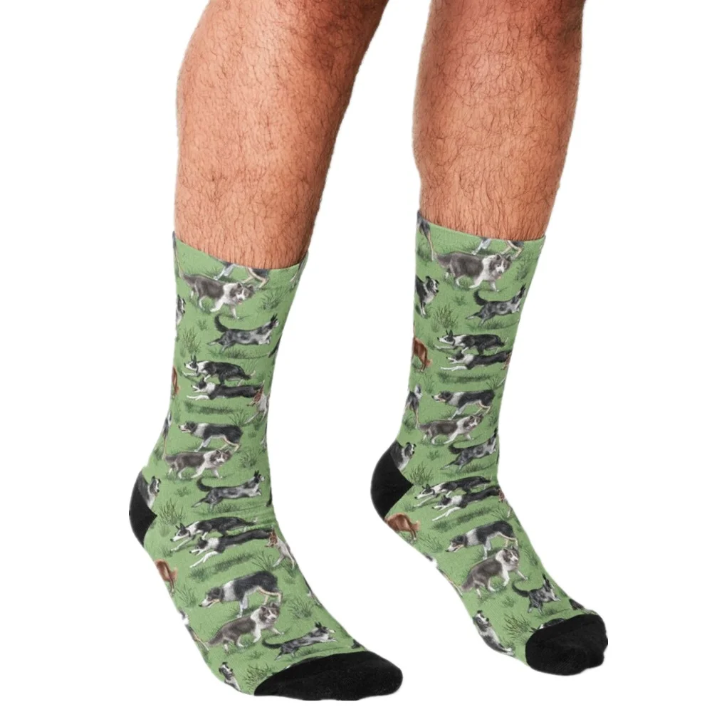 

2021 Funny Socks Men harajuku The Border Collie Socks Printed Happy hip hop Novelty Skateboard Crew Casual Crazy Socks