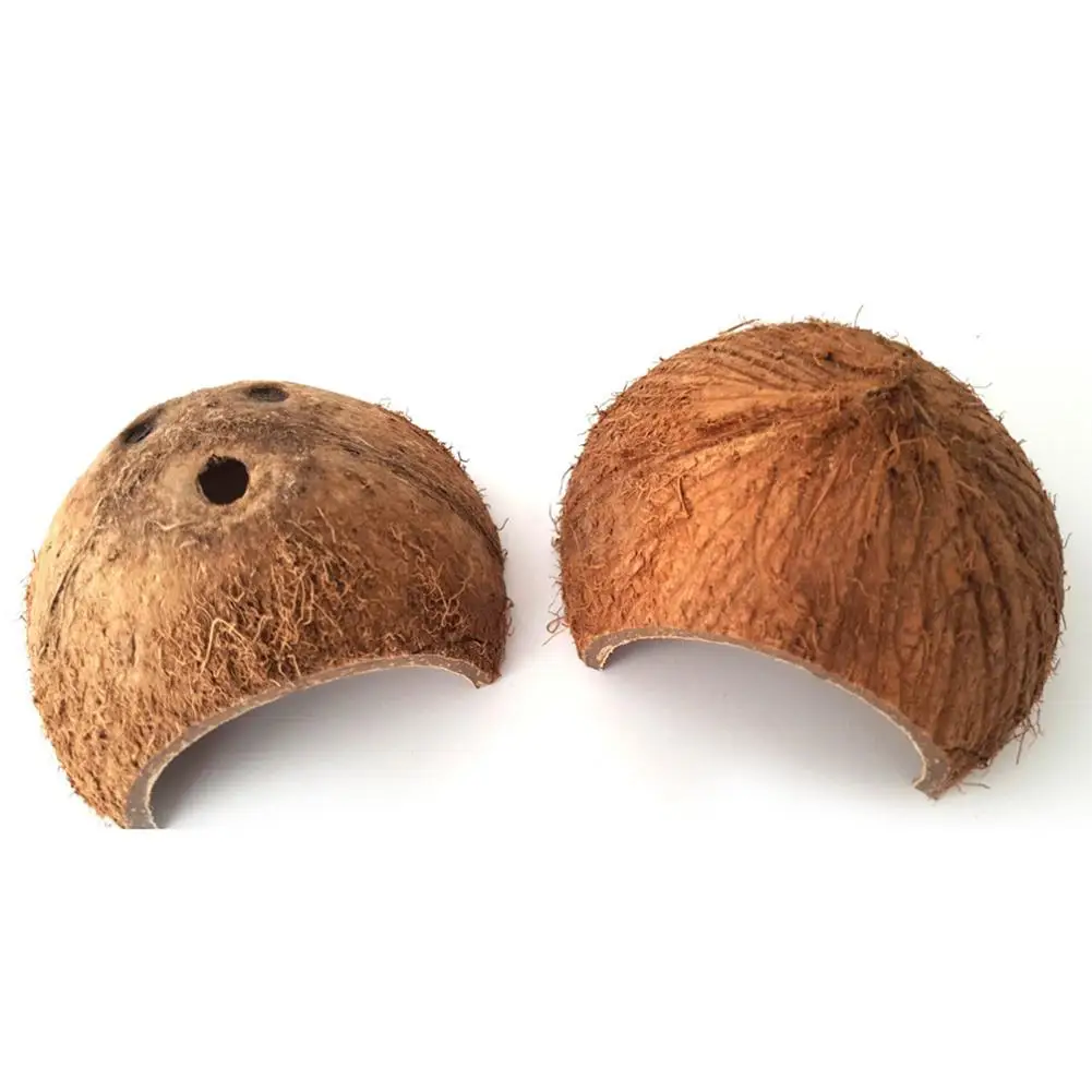 LanLan МИЛЫЙ натуральный кокосовый орех скрывает домашняя пещера для рептилий маленький питомец, рептилия Декор Египетский Декор - Цвет: without top hole