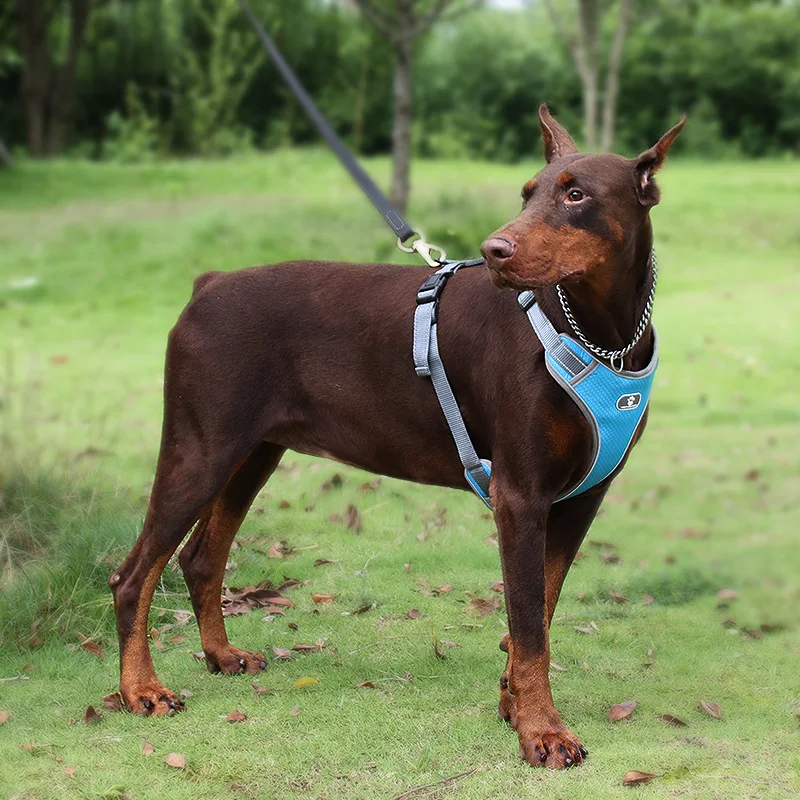 New pet leash mesh breathable big dog chest strap vest reflective dog rope spot