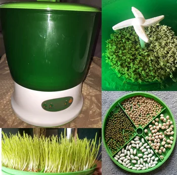 

Automatic Bean Sprout Machine EU US Plug Multifunctional Homemade Sprout Bud Machine Intelligent Microcomputer Control