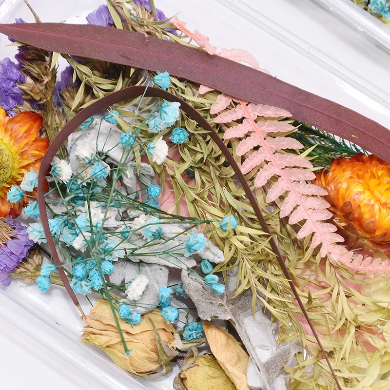 1 Box Colorful Real Dried Flower Dry Plants For Aromatherapy Candle DIY Art Craft Scrapbooking Home Decor Accessories