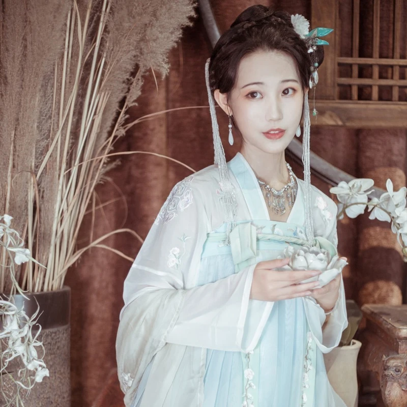 Hanfu костюм Китайский Женский сказочный Тан платье традиционный старинный элегантный Hanfu Китайский традиционный Одежда для танцев DQL1681