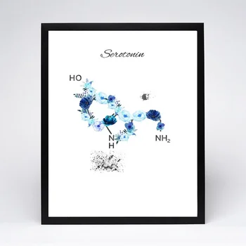 

Serotonin Molecule Art Print Canvas Poster Home Wall Decor Medical Wall Decor Nursing School Graduation Gift Doctor (No Frame)