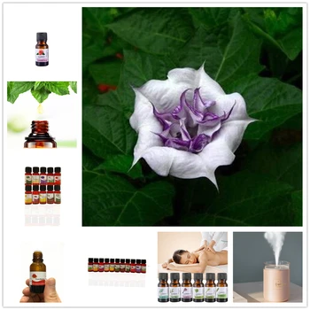 

Longevity Flower Fragrance Aromatherapy Essential Oils Cold Press Carnation Aromatherapy Essential Oil for Diffuser Humidifier