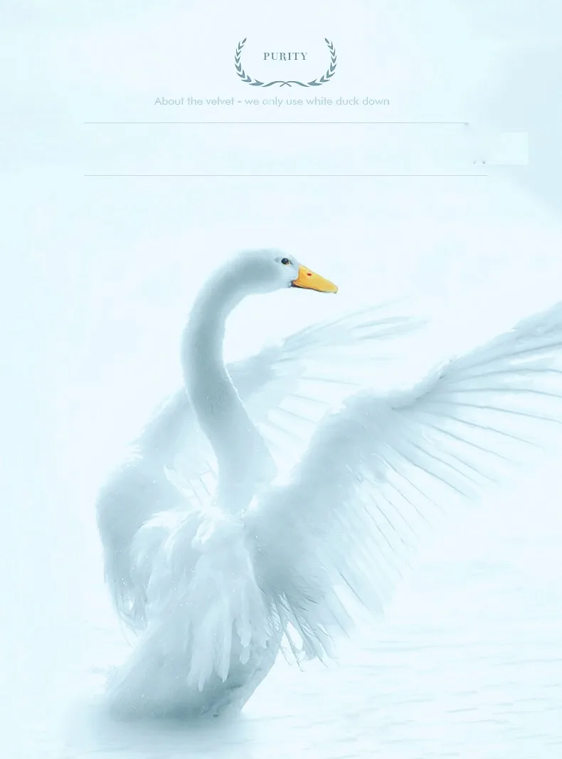 Duck Down Vest Men and Women Universal Spring Light Jackets Fashion Sleeveless Outerwear Coat Autumn Coat White Duck Down Duck Down Vest Men and Women Universal Spring Light Jackets Fashion Sleeveless Outerwear Coat Autumn Coat White Duck Down