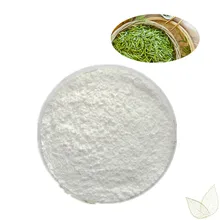 200 г пищевой экстракт зеленого чая l-теанин/л теанин/лтеанин КАС без порошка 3081616 производитель
