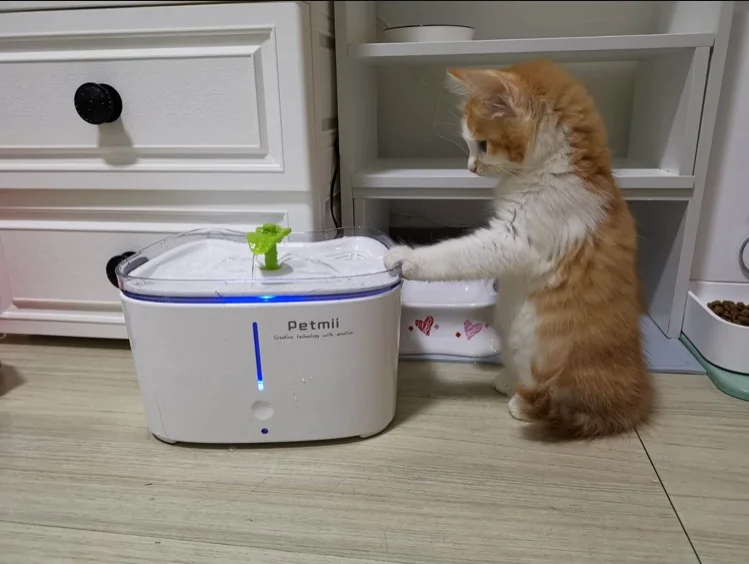 PETMII Автоматическая кошка собака питомец фонтан миска для домашних животных кошек питьевой воды диспенсер Petsafe напиток с фильтрами Pet фонтан воды