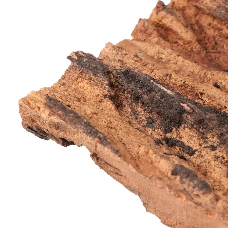 

Champagne Cork Bark Reptile Breeding Box Pet Spider Hiding Climbing Supplies 090C