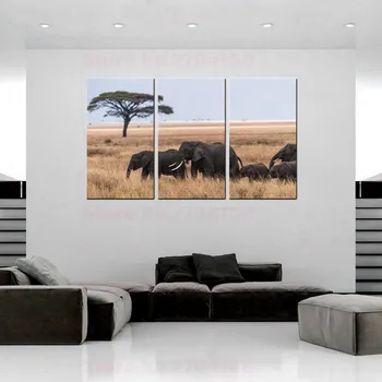 

Three Pieces Canvas Prints Manta Zebra Antelope Elephant Tiger Print Painting for Kitchen Restaurant Office Home Decor Drop Ship