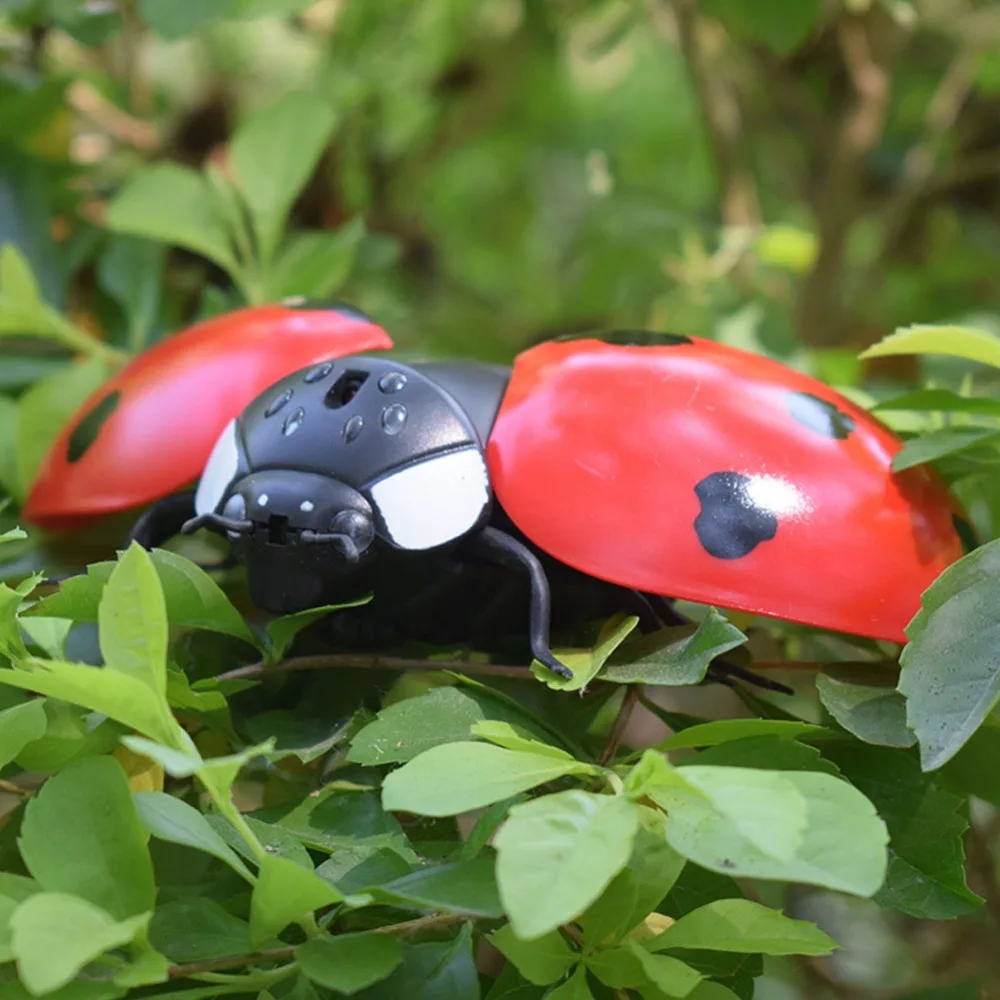 307085_no-logo_307085-1-08-g