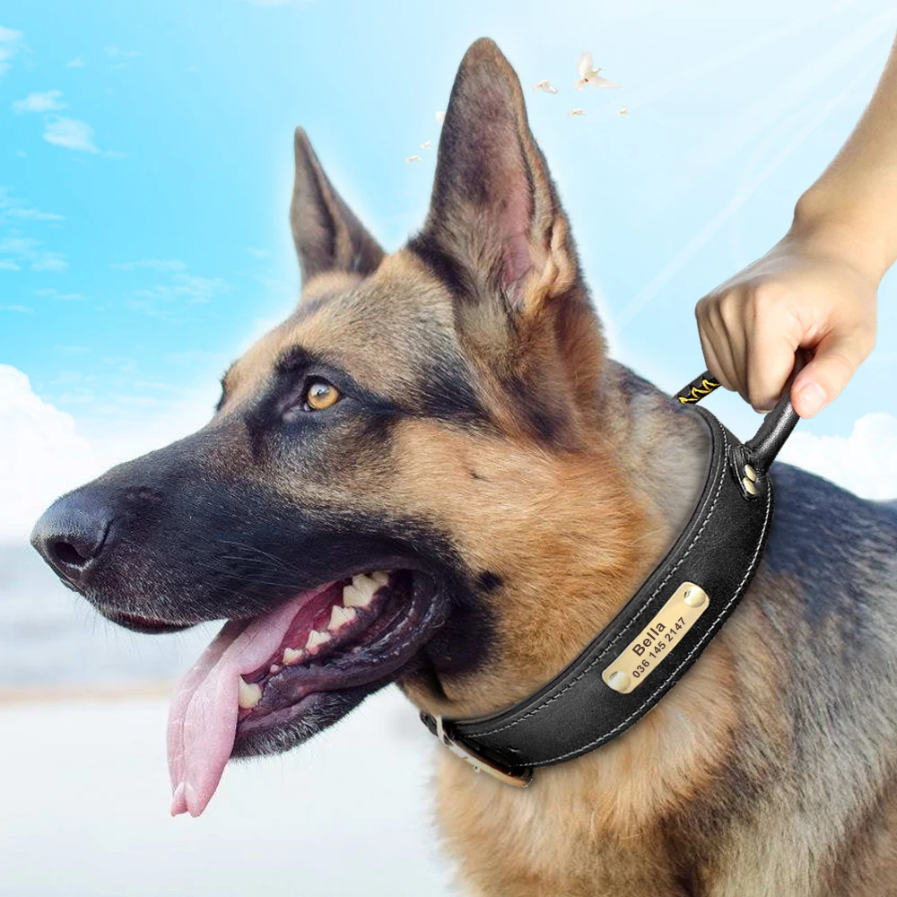 Collar de cuero con etiqueta de identificación personalizada para perros y grandes, Collar de Control rápido para entrenamiento de mascotas, con mango - AliExpress