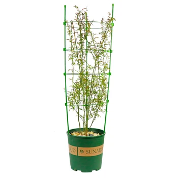 

New 1 Pc Durable Creative Climbing Vine Rack 45cm Plastic Coated Iron Plant Support Frame Garden Balcony Plant Flower Trellis