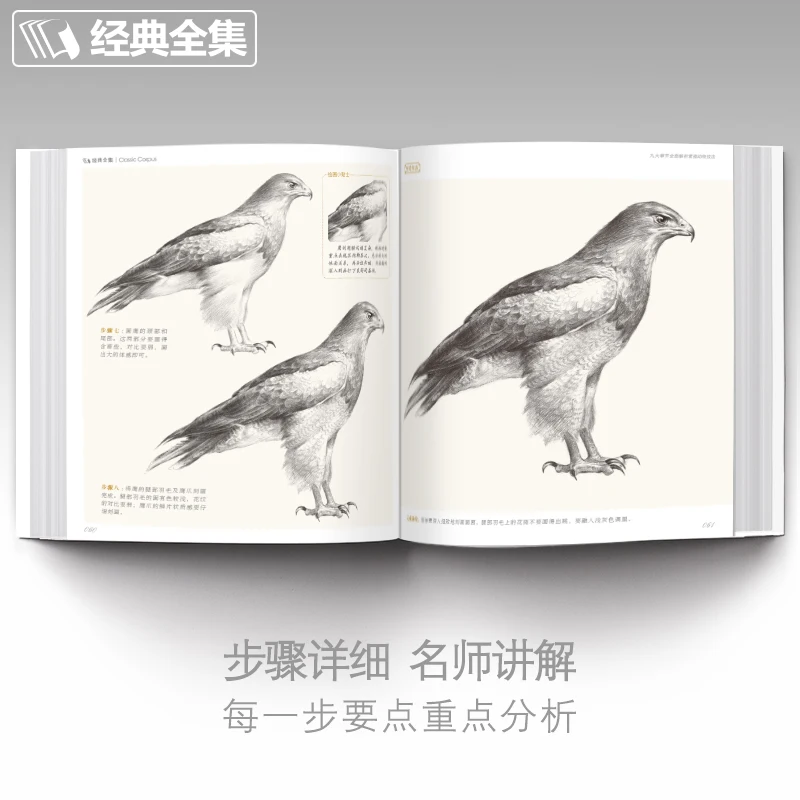 Libri da disegno a mano a matita Libro di pittura Schizzo per adulti Tecniche di animali Con iniziare Copia Tutorials Libro di testo con base zero - immagine 4