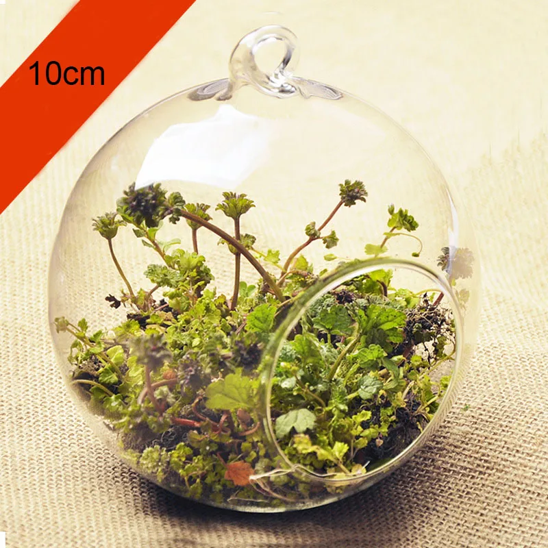 10/12cm Transparent Clear Glass Round Terrarium Flower Plant Stand Hanging Vase Hydroponic Home Office Wedding Garden Decor